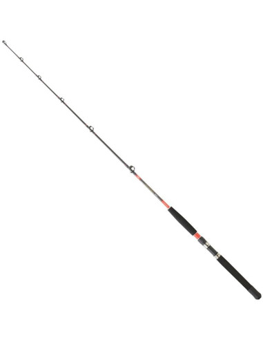 Daiwa Megaforce Trolling 171 3050 AR DF